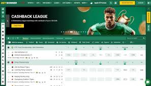 Everything You Need to Know About Contact BetWinner