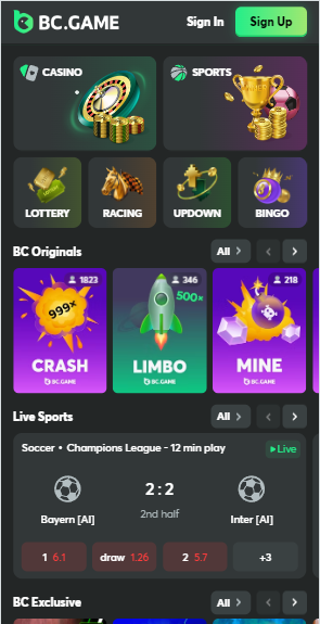Exploring the BC Game Rewards Program Maximizing Your Gaming Experience