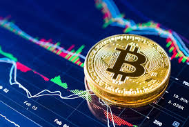 The Future of Investment Crypto Trading Simulator